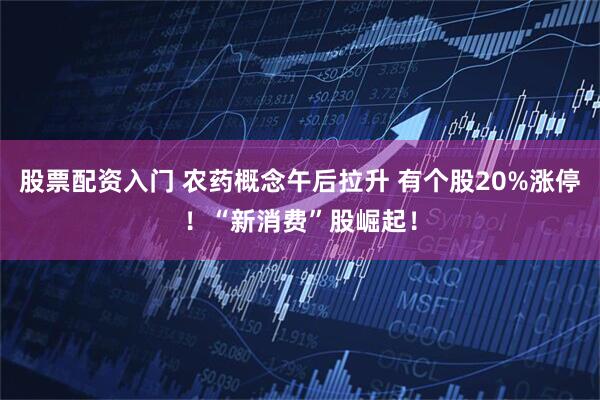 股票配资入门 农药概念午后拉升 有个股20%涨停！“新消费”股崛起！