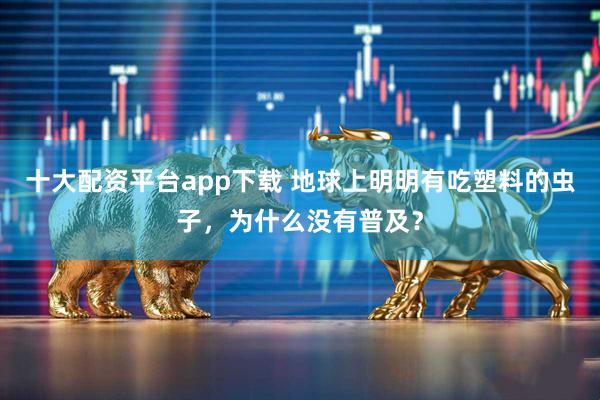 十大配资平台app下载 地球上明明有吃塑料的虫子，为什么没有普及？