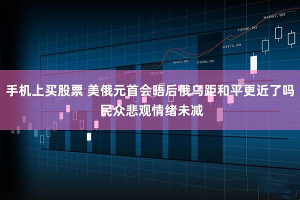 手机上买股票 美俄元首会晤后俄乌距和平更近了吗 民众悲观情绪未减